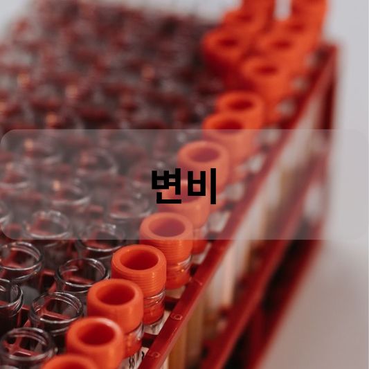 변비: 원인, 증상, 치료 방법 알아보기!