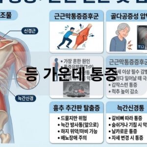 등 가운데 통증