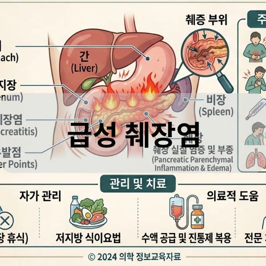 급성 췌장염: 원인, 증상, 치료 방법 알아보기!