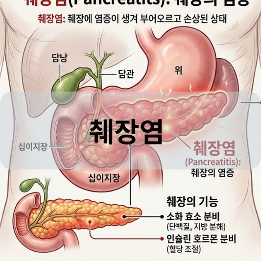 췌장염: 원인, 증상, 치료 방법 알아보기!